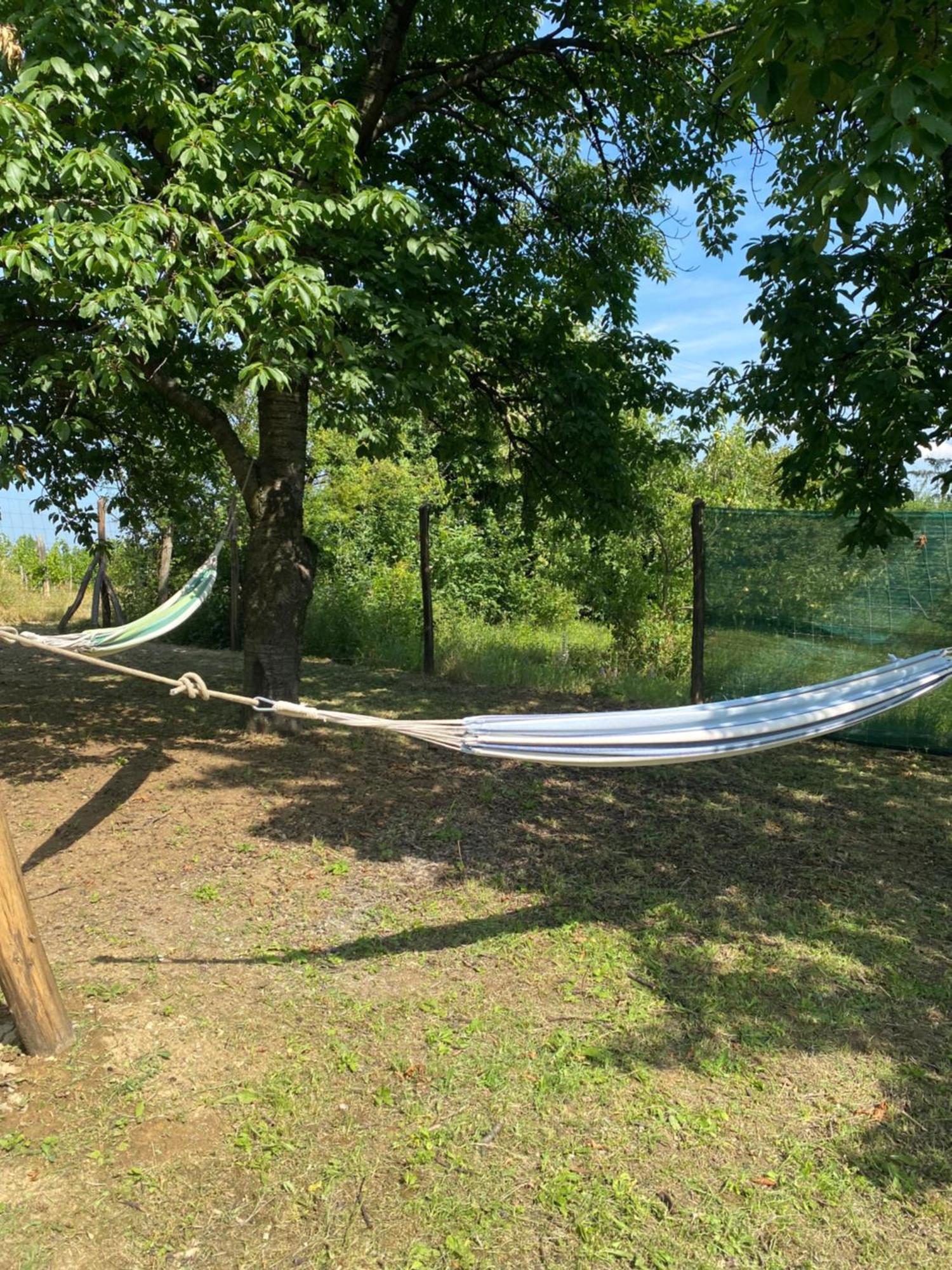 Eged Lodge Eğri Dış mekan fotoğraf
